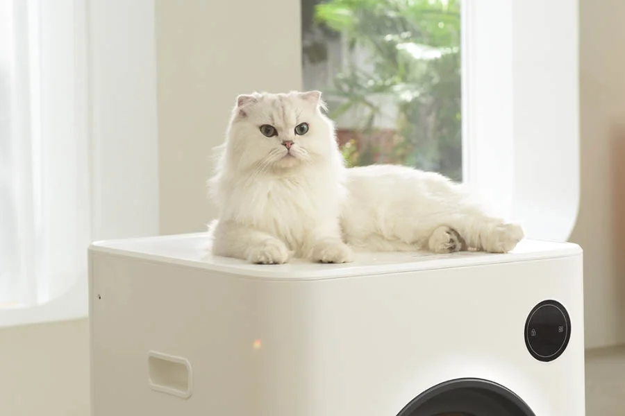 kitty litter machine