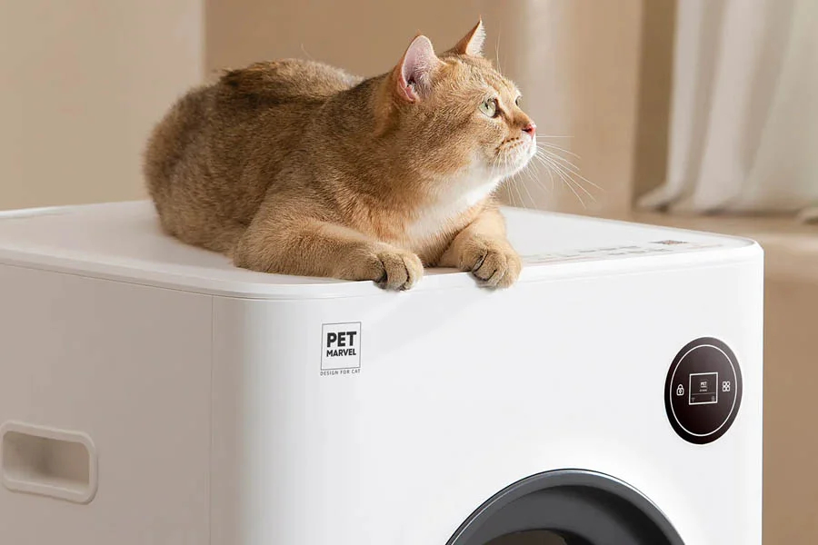 smell free litter box