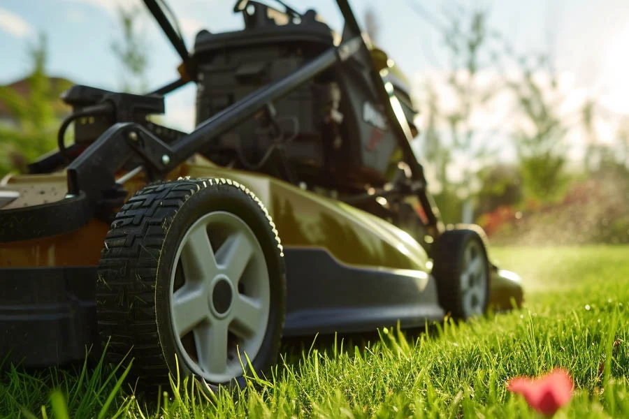 lawn cut machine